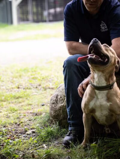 Franklin County Animal Shelter - Farmington, ME