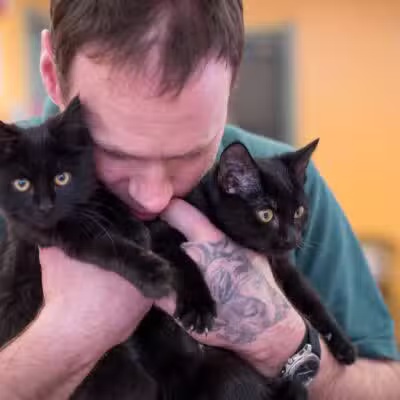 Franklin County Animal Shelter - Farmington, ME