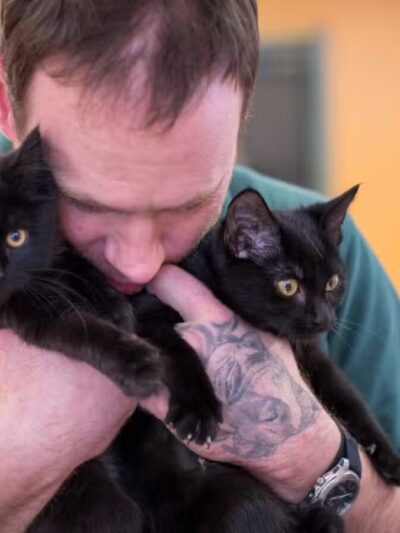 Franklin County Animal Shelter - Farmington, ME