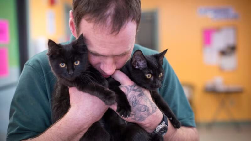 Franklin County Animal Shelter - Farmington, ME