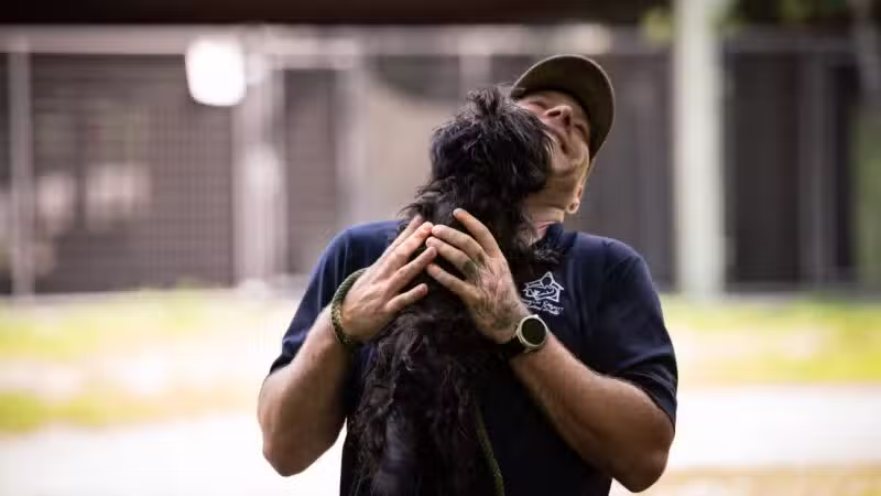 Franklin County Animal Shelter - Farmington, ME