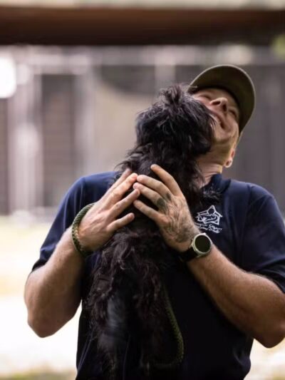 Franklin County Animal Shelter - Farmington, ME