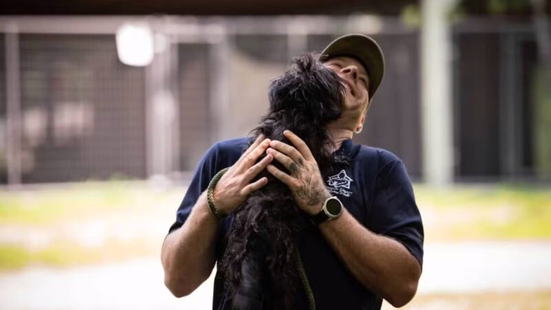 Franklin County Animal Shelter - Farmington, ME