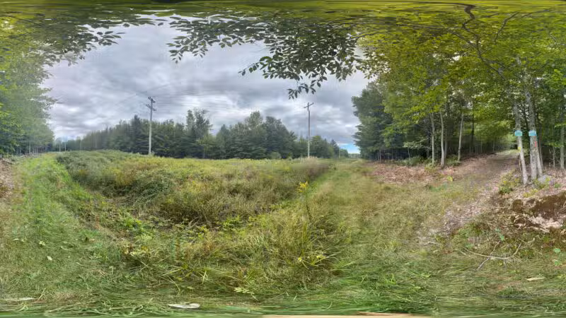 Powder House Hill Trails: Flint Woods & Village woods - Farmington, ME