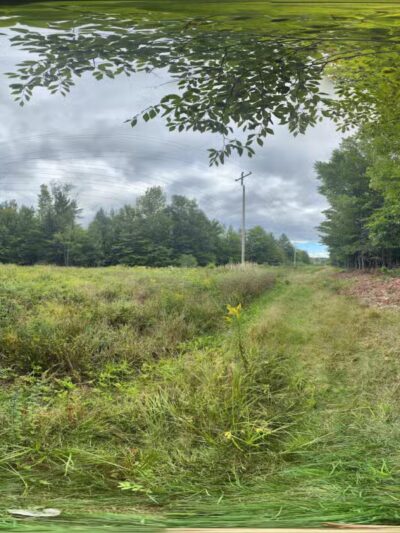 Powder House Hill Trails: Flint Woods & Village woods - Farmington, ME