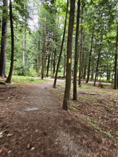 Powder House Hill Trails: Flint Woods & Village woods - Farmington, ME