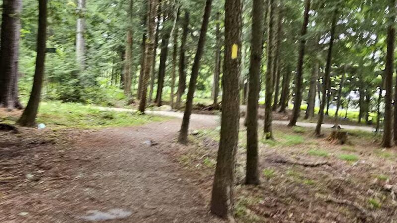 Powder House Hill Trails: Flint Woods & Village woods - Farmington, ME