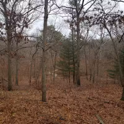 Thomas Muratore Park at Farmingville Hills - Farmingville, NY