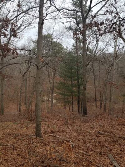 Thomas Muratore Park at Farmingville Hills - Farmingville, NY