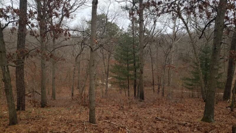 Thomas Muratore Park at Farmingville Hills - Farmingville, NY