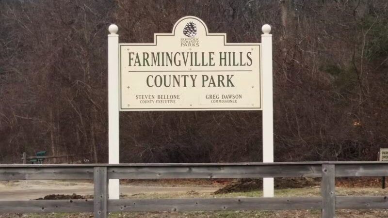Thomas Muratore Park at Farmingville Hills - Farmingville, NY