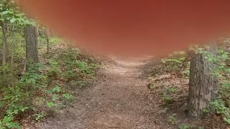 Thomas Muratore Park at Farmingville Hills - Farmingville, NY