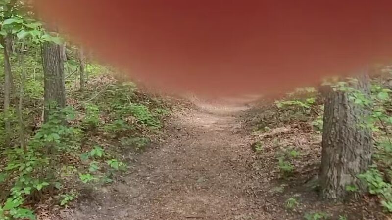 Thomas Muratore Park at Farmingville Hills - Farmingville, NY