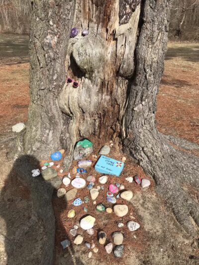 Thomas Muratore Park at Farmingville Hills - Farmingville, NY