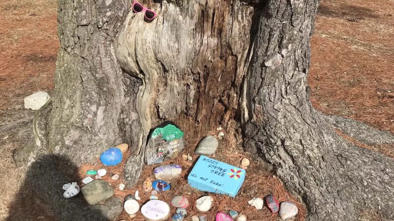 Thomas Muratore Park at Farmingville Hills - Farmingville, NY