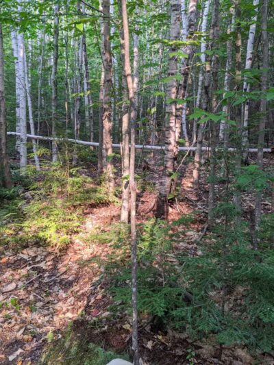 Parker Pond Headland Preserve - Fayette, ME