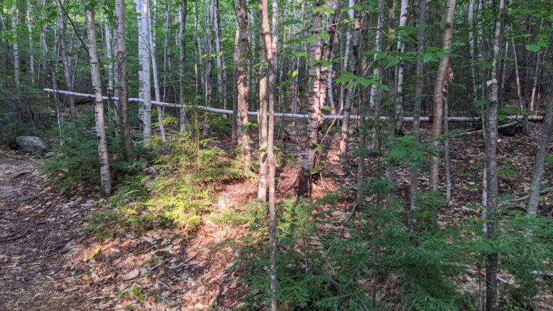 Parker Pond Headland Preserve - Fayette, ME
