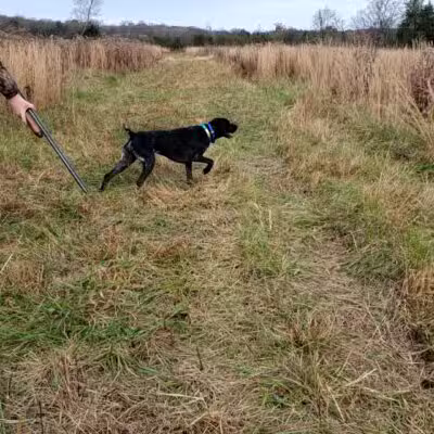 Craig Game Preserve - Fayetteville, TN