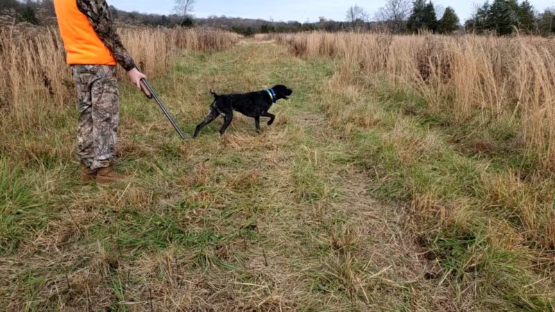 Craig Game Preserve - Fayetteville, TN