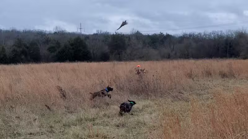 Craig Game Preserve - Fayetteville, TN