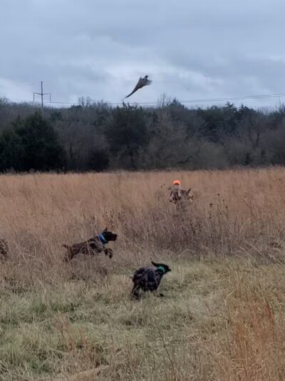 Craig Game Preserve - Fayetteville, TN