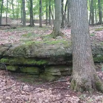 Wellesley Island State Park - Fineview, NY