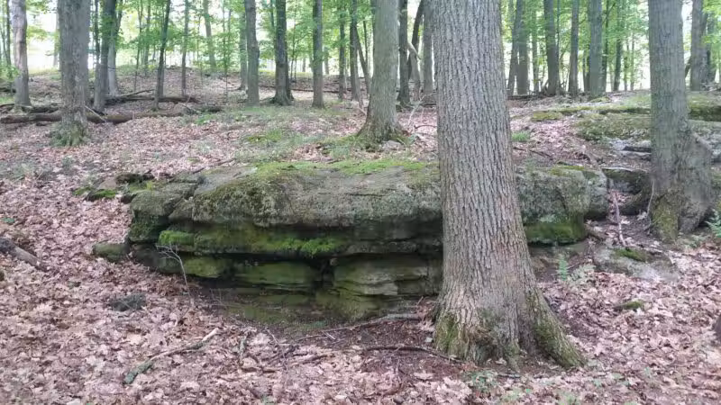 Wellesley Island State Park - Fineview, NY