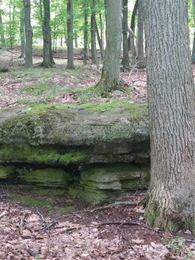 Wellesley Island State Park - Fineview, NY