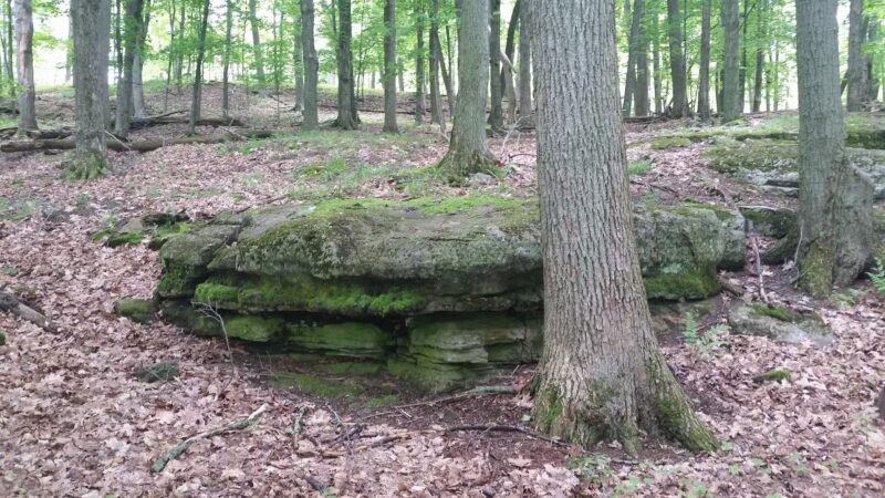 Wellesley Island State Park - Fineview, NY