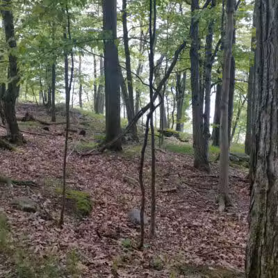 Wellesley Island State Park - Fineview, NY