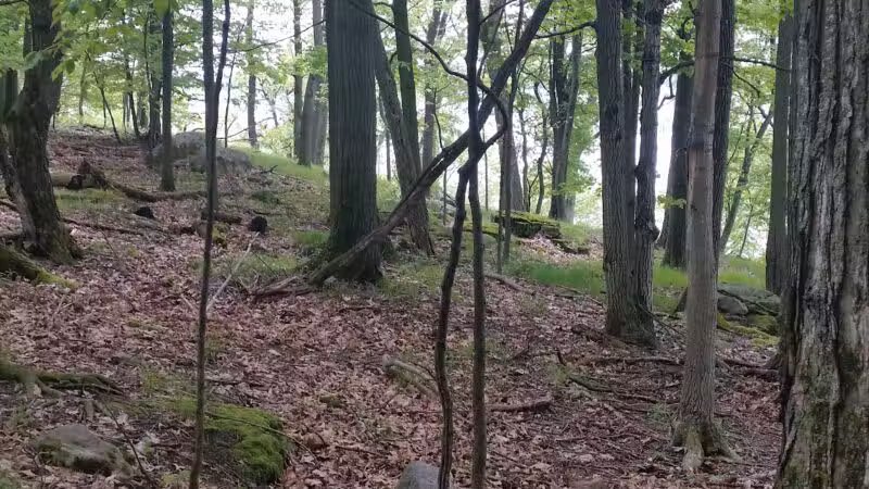 Wellesley Island State Park - Fineview, NY