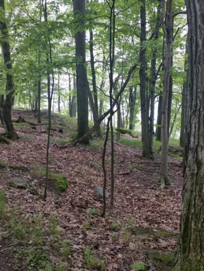 Wellesley Island State Park - Fineview, NY