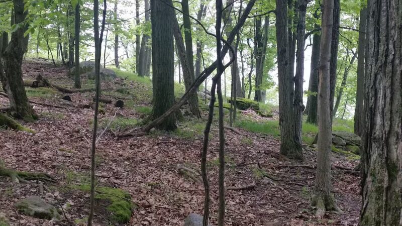 Wellesley Island State Park - Fineview, NY