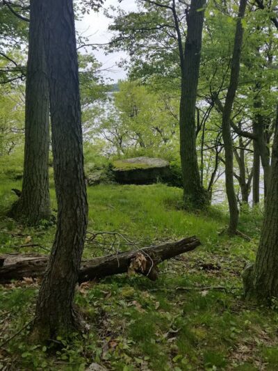 Wellesley Island State Park - Fineview, NY