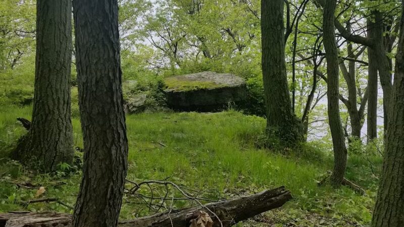Wellesley Island State Park - Fineview, NY