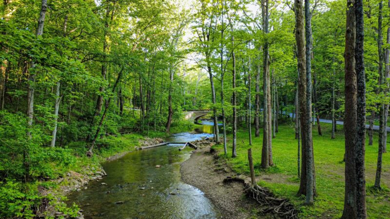 Mingo Creek County Park - Finleyville, PA