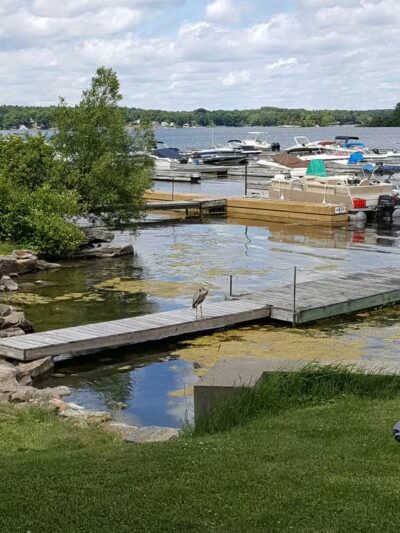 Shady Bay Park - Fishers Landing, NY