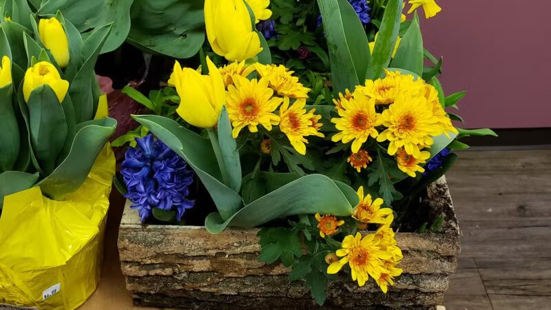 Fishertown Country Store - Fishertown, PA