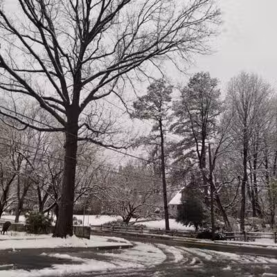 Forest Glen Park - Forest Glen, MD