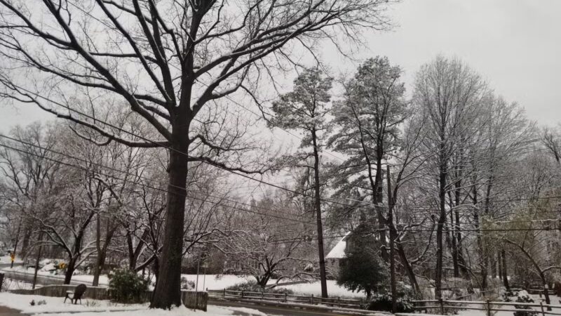 Forest Glen Park - Forest Glen, MD