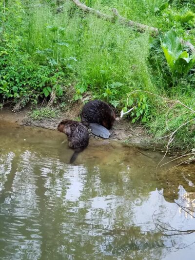 Blake's Venture Park - Forest Hill, MD