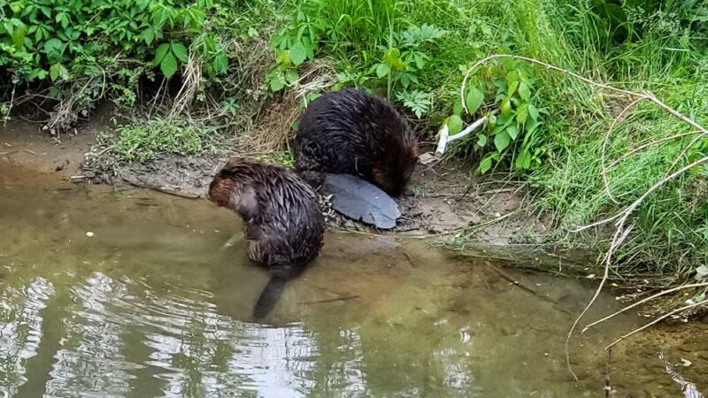 Blake's Venture Park - Forest Hill, MD