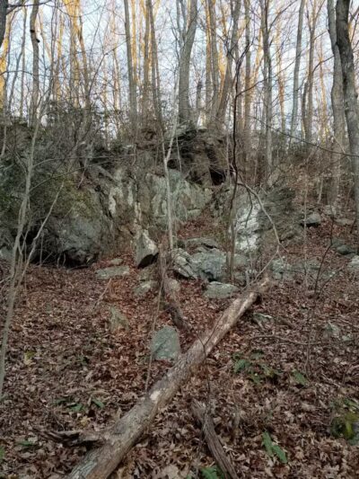 Deer Creek Conservation Area - Forest Hill, MD