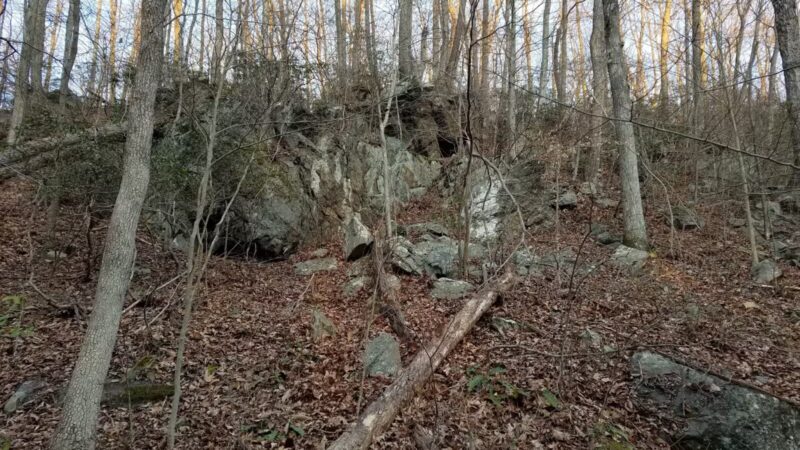 Deer Creek Conservation Area - Forest Hill, MD