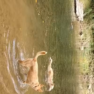 Deer Creek Conservation Area - Forest Hill, MD