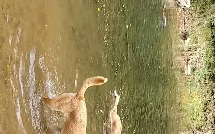 Deer Creek Conservation Area - Forest Hill, MD