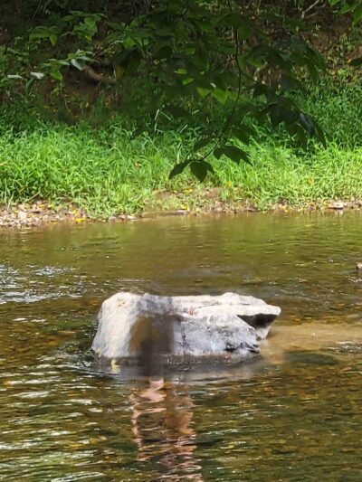 Deer Creek Conservation Area - Forest Hill, MD