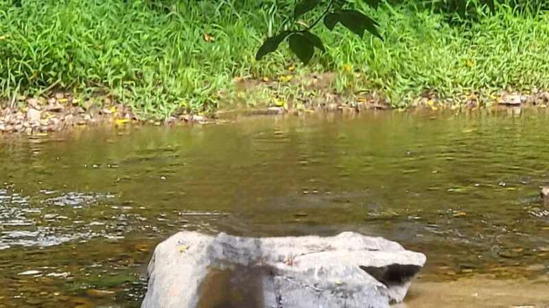 Deer Creek Conservation Area - Forest Hill, MD