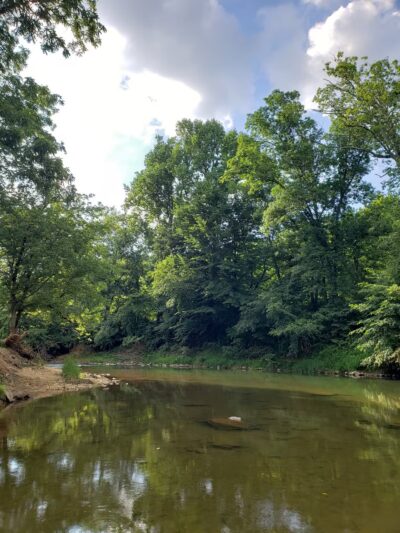 Deer Creek Conservation Area - Forest Hill, MD
