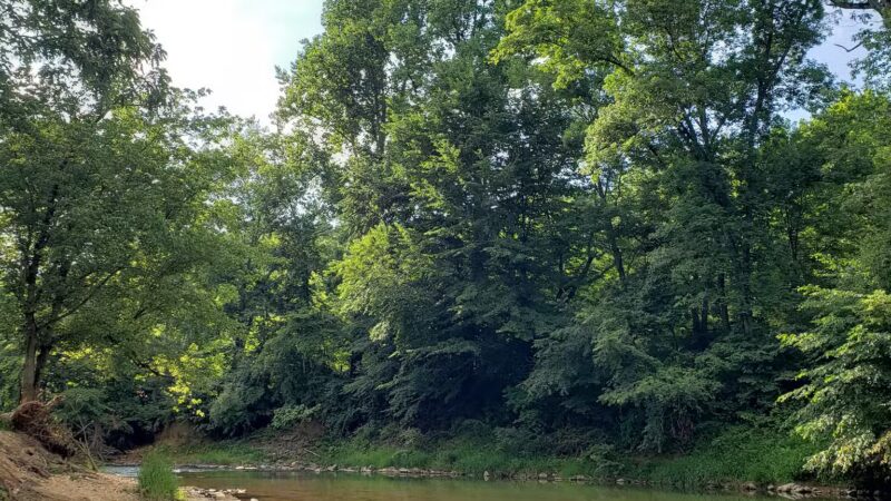 Deer Creek Conservation Area - Forest Hill, MD